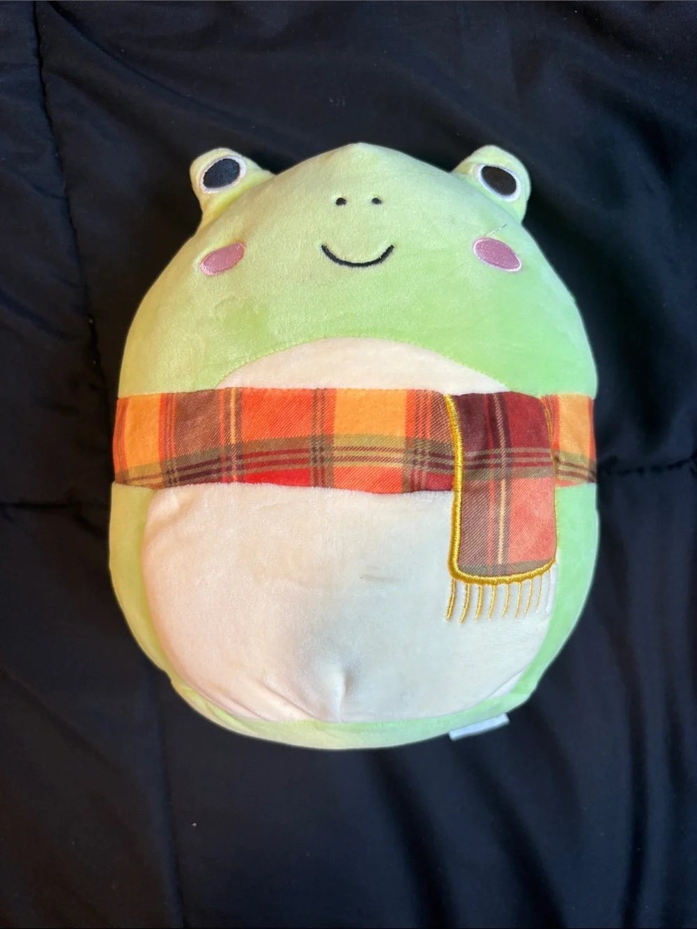 Squishmallow Plush Frog, Raccoon & Avocado dog